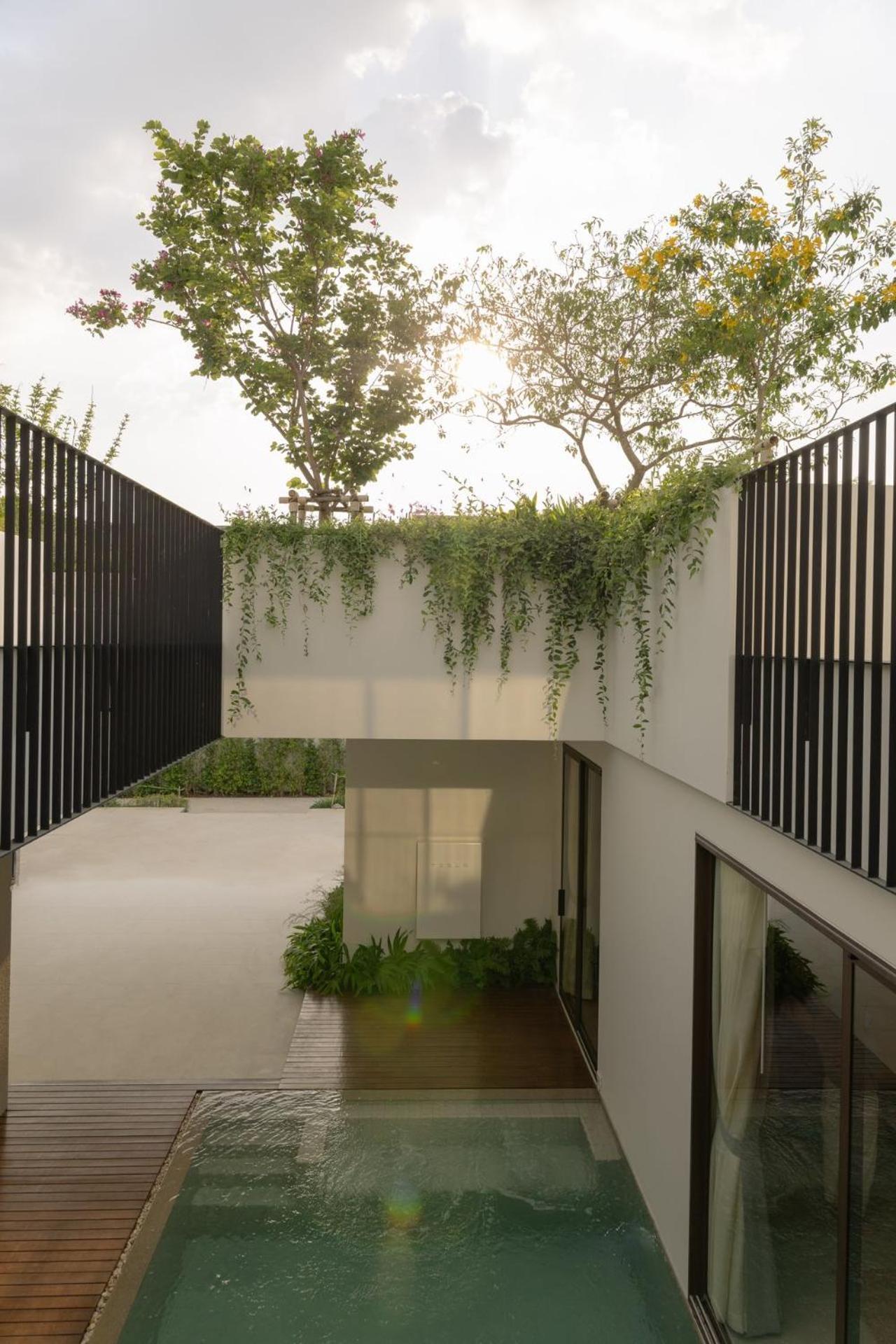 Tree O'Clock Pool Villa - Phuket Thalang Chambre photo